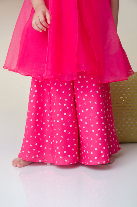 Pre-Order: Pink Bandhani Embroidered Palazzo Set