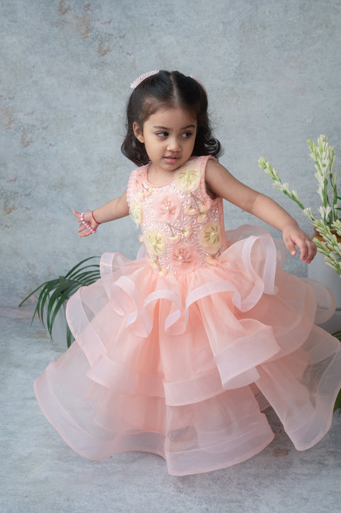 Pre-Order: Peach Layered Party Gown with 3D Floral Embroidery