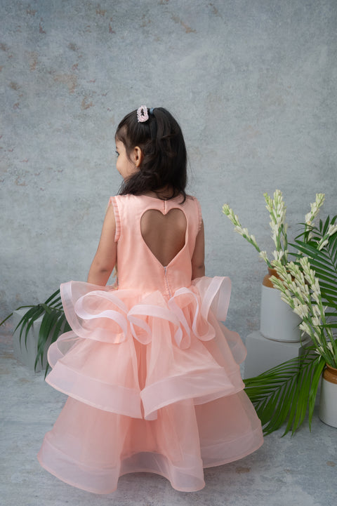 Pre-Order: Peach Layered Party Gown with 3D Floral Embroidery