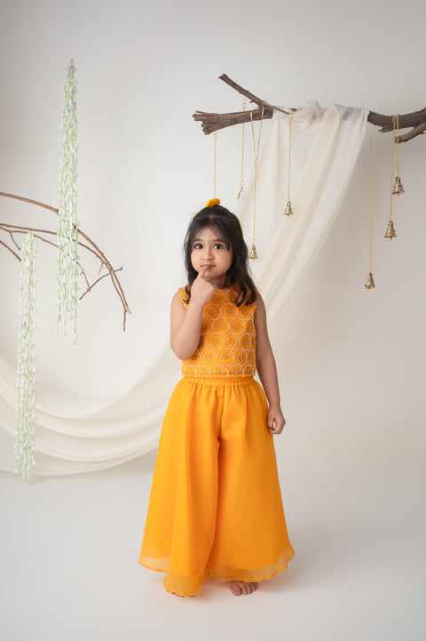 Pre-Order: Yellow Hand embroidered Organza Palazzo Set