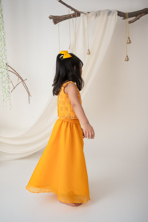 Pre-Order: Yellow Hand embroidered Organza Palazzo Set