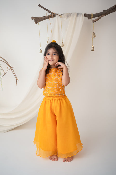 Pre-Order: Yellow Hand embroidered Organza Palazzo Set