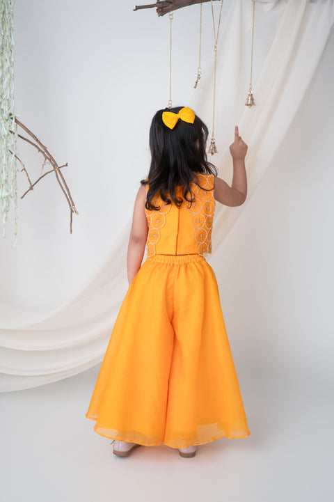 Pre-Order: Yellow Hand embroidered Organza Palazzo Set