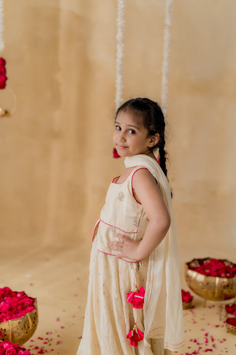 Pre-Order: Gulnoor Lehenga Set