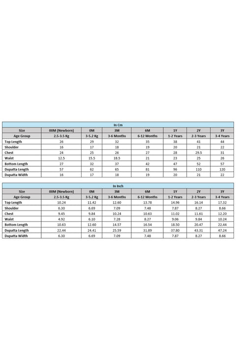 Pre-Order:  Baby Girl Floral Suit Set-Pink