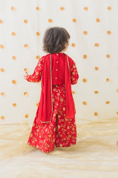 Pre-Order Girls Devi Durga Co - ord Set