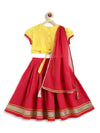 Pre-Order: Girl Checks Lehenga Set-Pink