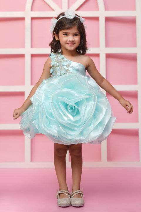 Pre-Order: Green Flower Dress With Silver Embellished Hand Embroidery