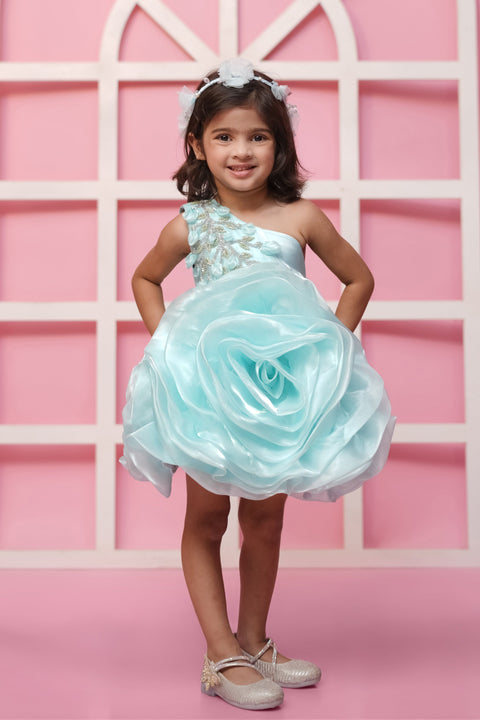 Pre-Order: Green Flower Dress With Silver Embellished Hand Embroidery