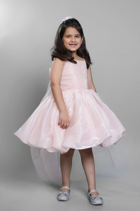 Pre-Order: Tissue Dress With A Trail At The Back