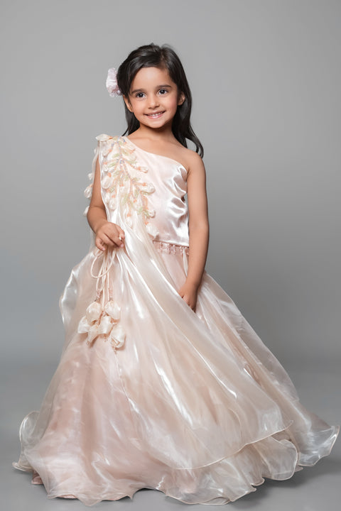 Pre-Order: Tissue Peach Lehenga Set With Embroidery And Handmade Flower Embellishment