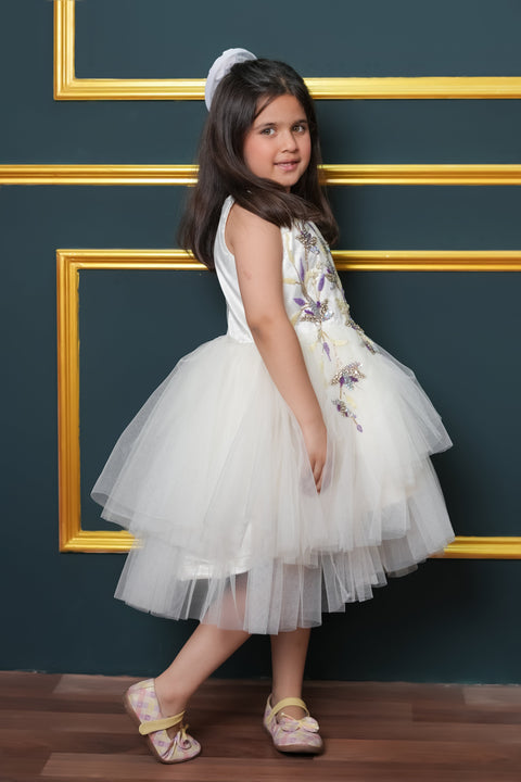 Pre-Order:  Net Flared Dress With Hand Embroidery