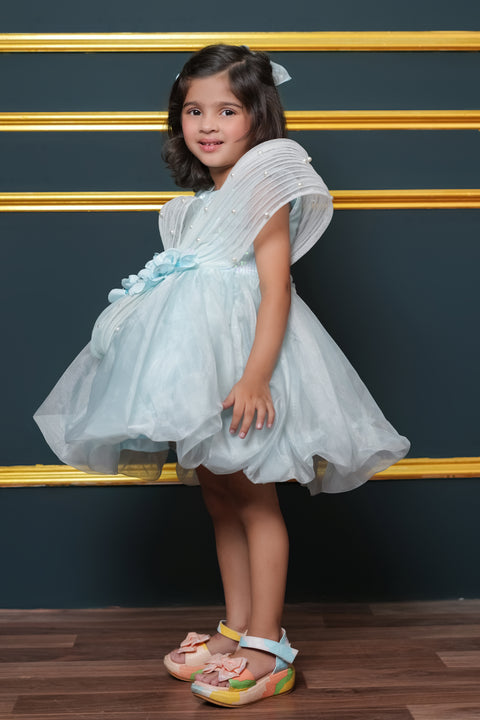 Pre-Order:  Tissue Dress Embellished With Handmade Flowers And Beads