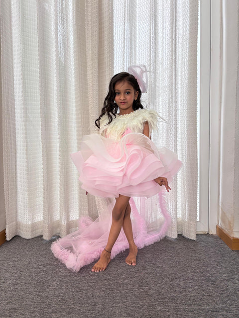 Pre-Order: Dual-Colour Princess Net Flared Dress