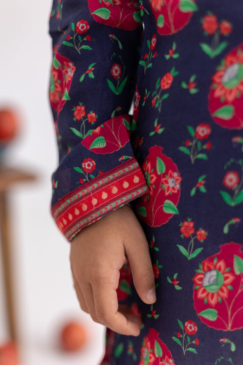 Pre-Order: Blue anar jaal printed kurta set-set of 2