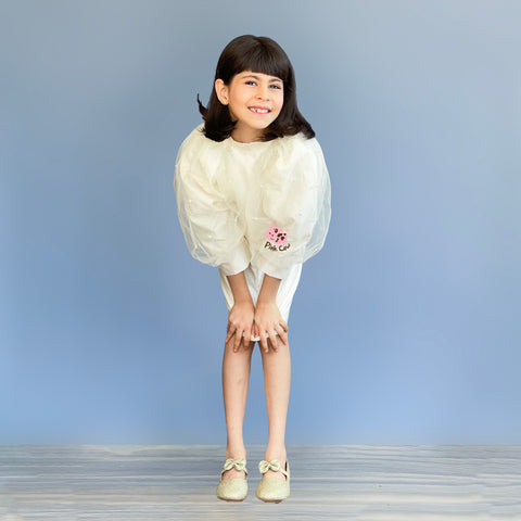 Pre-Order: Ruffled Sleeves Straight Dress