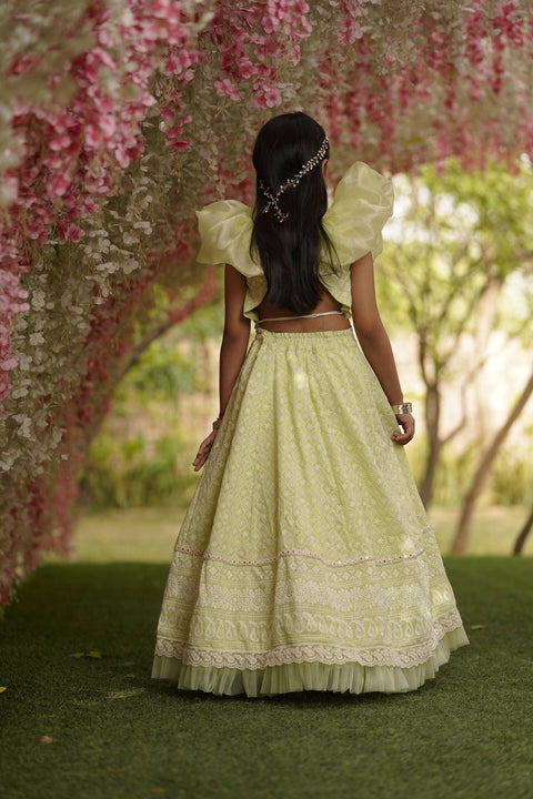Pre Order: Green Embroidery Lehenga Choli