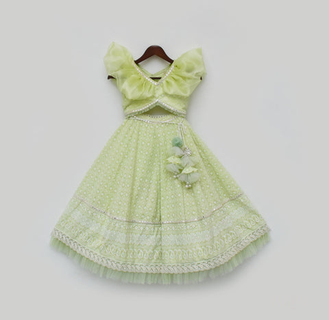 Pre Order: Green Embroidery Lehenga Choli