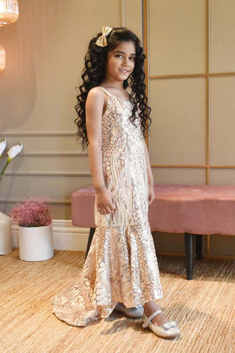 Pre-Order: Fawn Sequins Embroidery Gown and Velvet Jacket