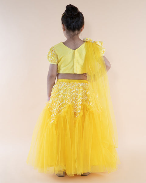 Pre-Order: Yellow Embroidered Top and Ghagra with Dupatta