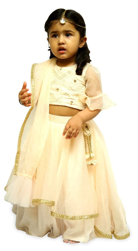 Pre-Order: Peach Chikankari Ghagra Set