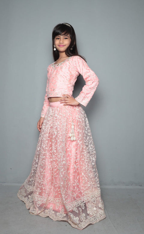 Pre-Order: Pink Lakhnavi Embroidery Top & Lehenga