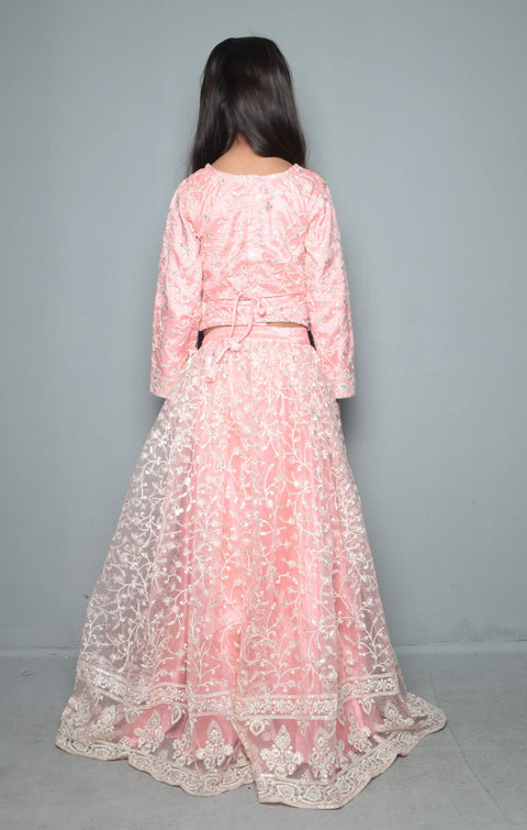 Pre-Order: Pink Lakhnavi Embroidery Top & Lehenga