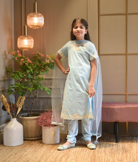 Pre Order:  Blue Silk Kurti Churidar and Dupatta