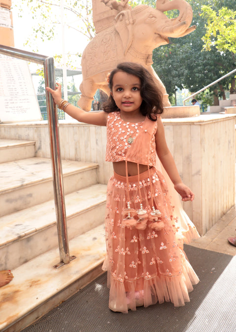 Pre-Order: Rust Mirror Embroidered Top With Ghagra And Attached Dupatta