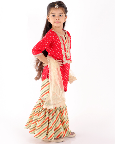 Pre-Order: Lehariya Bandhej Sharara