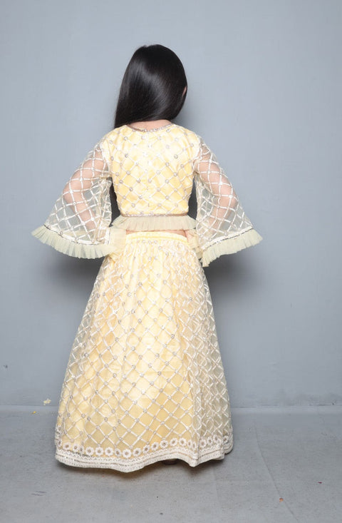 Pre-Order: Yellow Lakhnavi Work Top And Lehenga