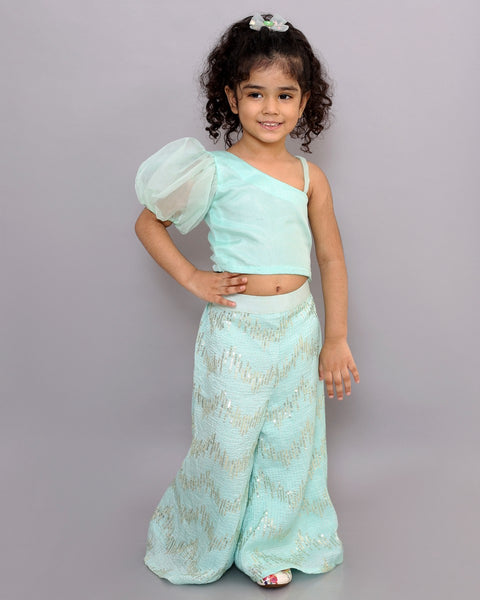 Silk Plazzo with Crop Top