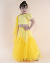 Pre-Order: Yellow Embroidered Top and Ghagra with Dupatta