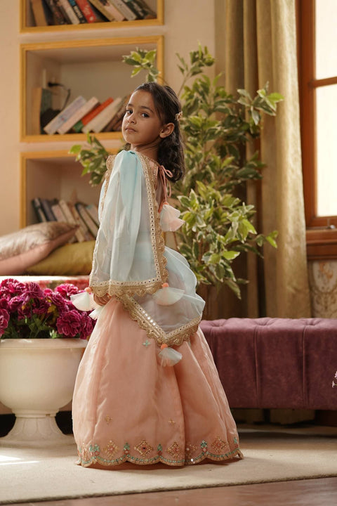 Pre Order: Peach Embroidery Organza Lehenga Choli and Blue Dupatta