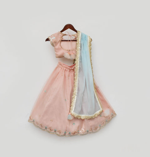 Pre Order: Peach Embroidery Organza Lehenga Choli and Blue Dupatta