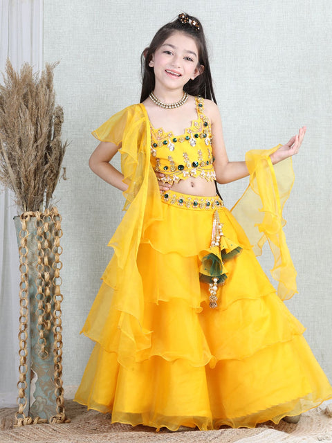 Pre-Order: Yellow Organza Lehenga with Hand Embroidered Choli