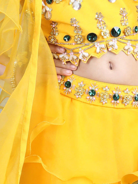 Pre-Order: Yellow Organza Lehenga with Hand Embroidered Choli