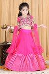Pre-Order: Silk Blouse with Heavy Embroidery and Lehenga with Gota work