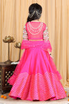 Pre-Order: Silk Blouse with Heavy Embroidery and Lehenga with Gota work