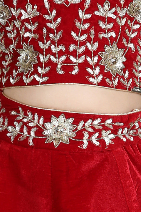 Pre-Order: Velvet with hand Embroidery on Blouse and Waist Belt