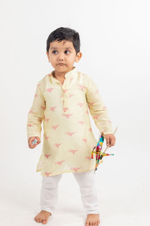 Pre-Order: Full Sleeves Bird Printed Kurta