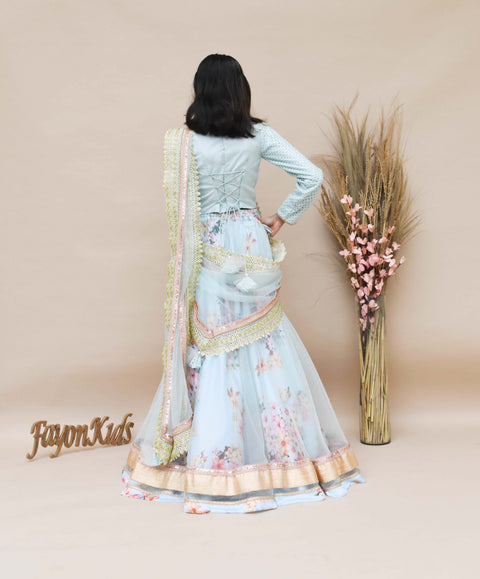 Pre-Order: Blue Embroidery Choli with Blue Net Lehenga