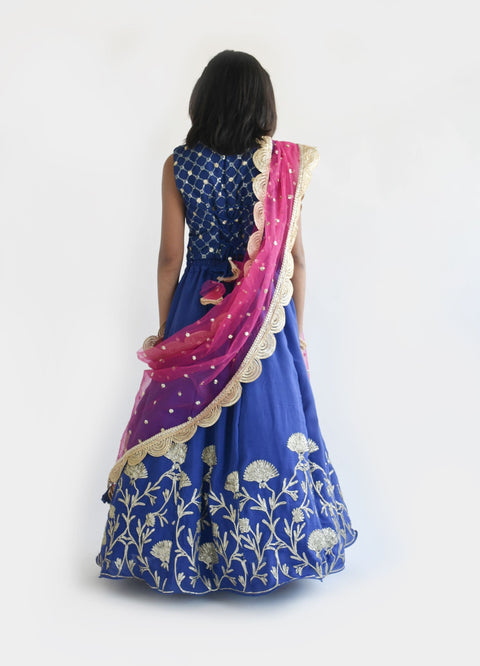 Pre Order:  Blue Embroidery Lehenga Choli and Dupatta