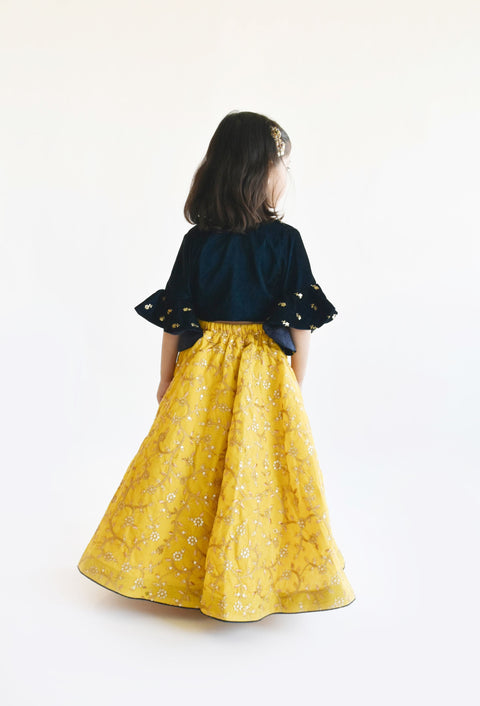 Pre Order: Blue Velvet Crop Top with Yellow Embroidery Lehenga