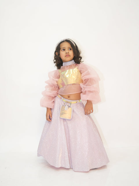 Pre-Order: Nude Pink Holographic Lehenga