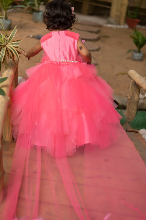 Pre-Order: Feather Gown