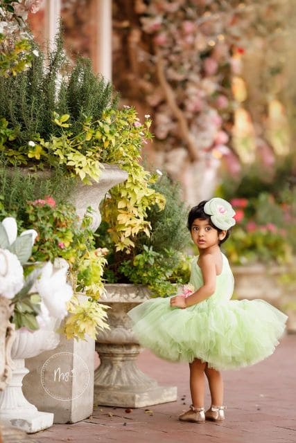 Pre-Order: Edens Green Dress