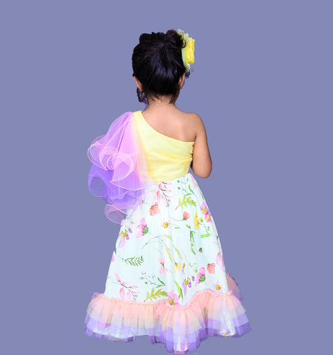 Pre-Order: Butterfly Embellished Pintuck stylish Top with Floral Printed Lehenga