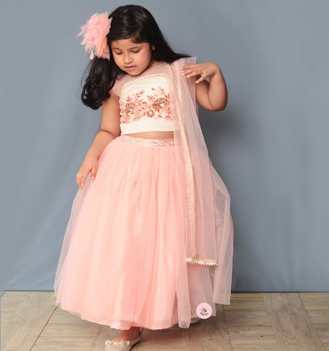 Pre-Order: Peach Ghagra Choli Embellished with Hand Crafted Embroidered