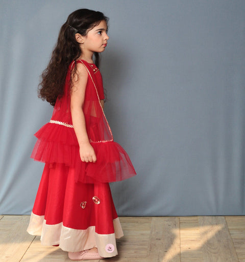 Pre-Order: Red Stylish Top with Lehenga and Dupatta